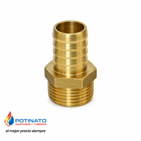 Teton bronce